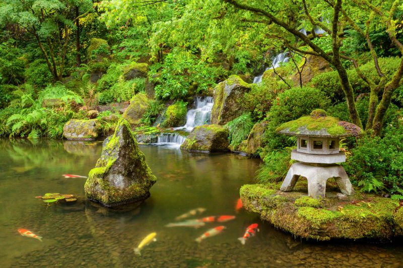 Koi Ponds