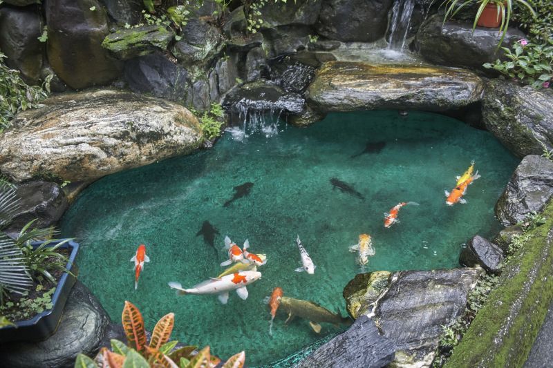 JW Koi Ponds