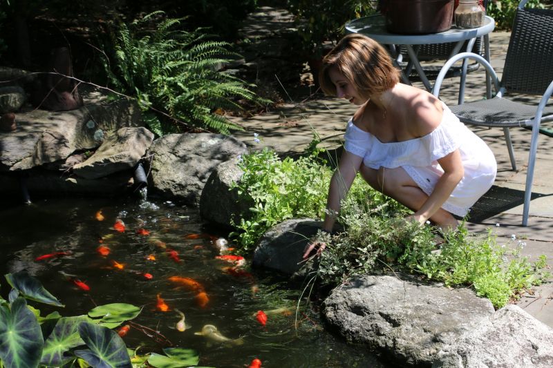 Jw Koi Ponds