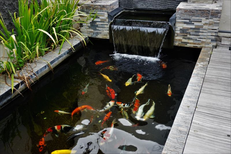 Koi Ponds