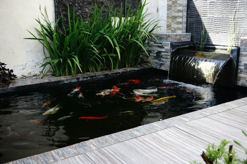 Koi Ponds